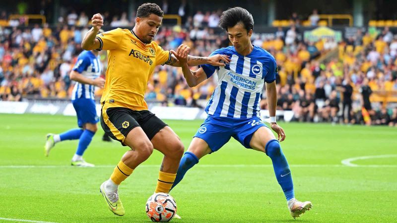 soi-keo-wolves-vs-brighton-ngay-10-5